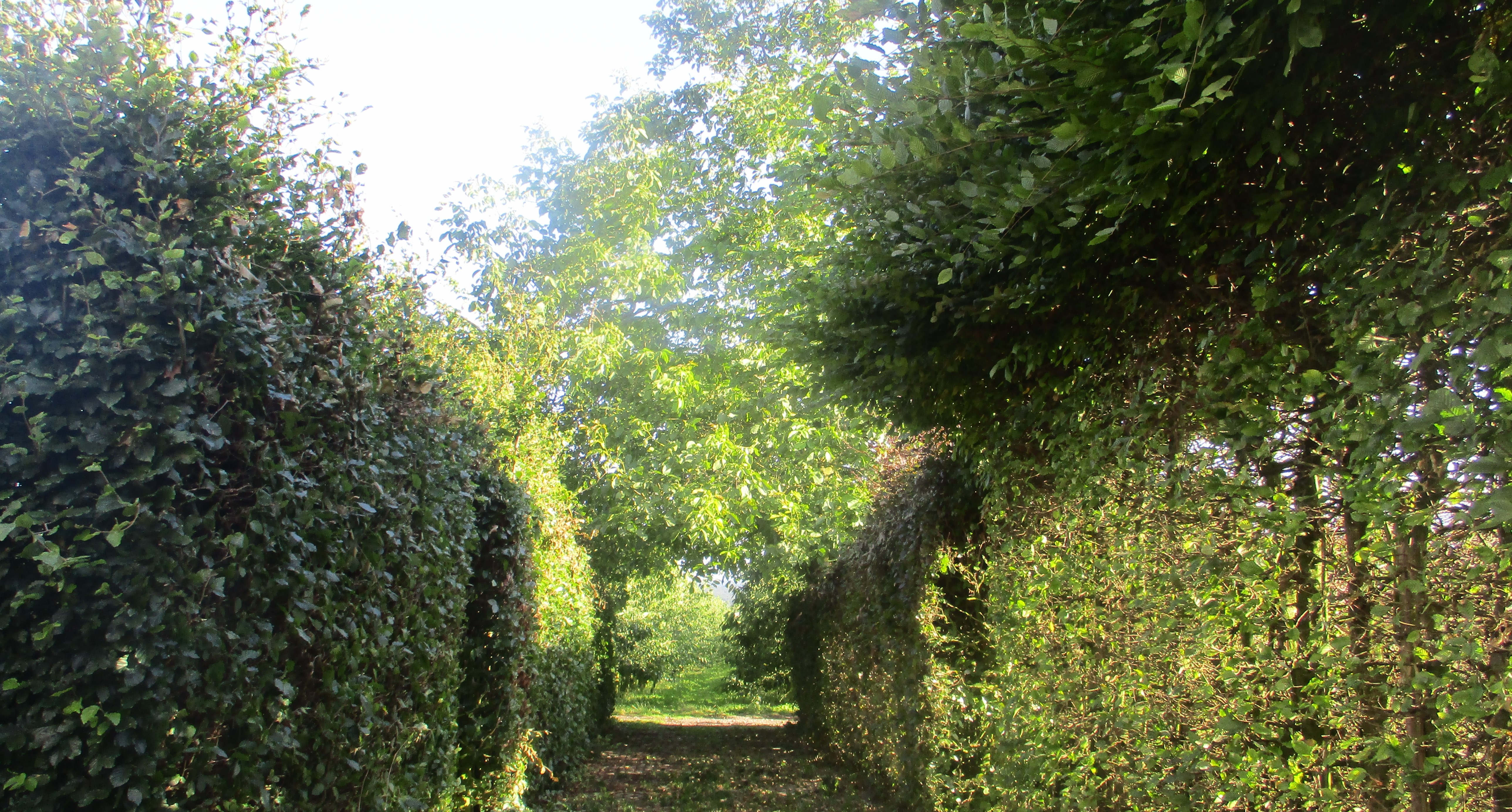 accueil Jardins du Moulin à Vent