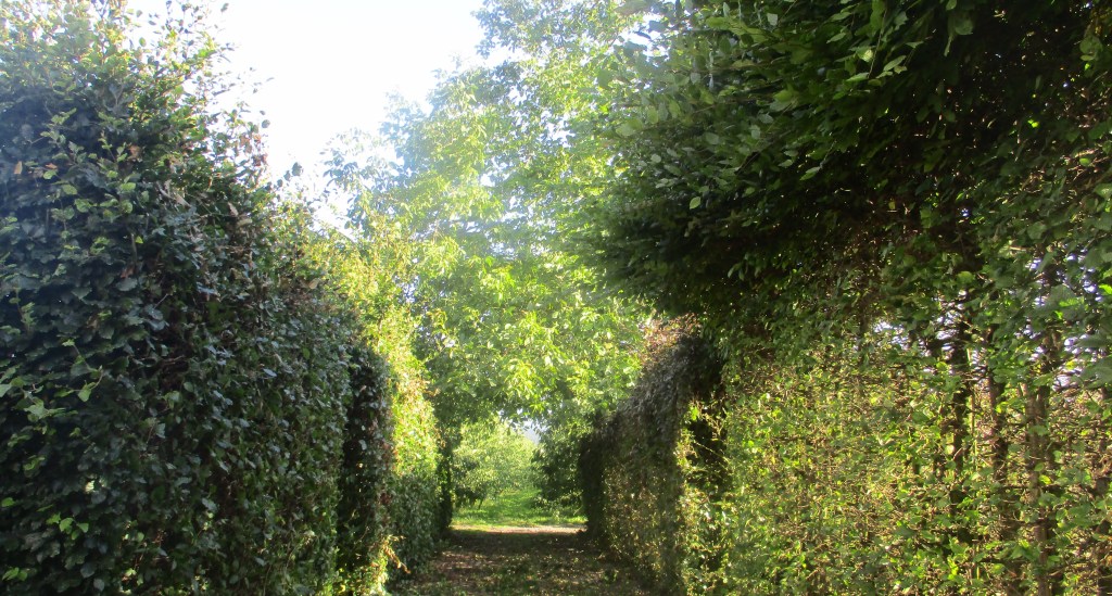 Nos Jardins ont besoin de&nbsp;vous