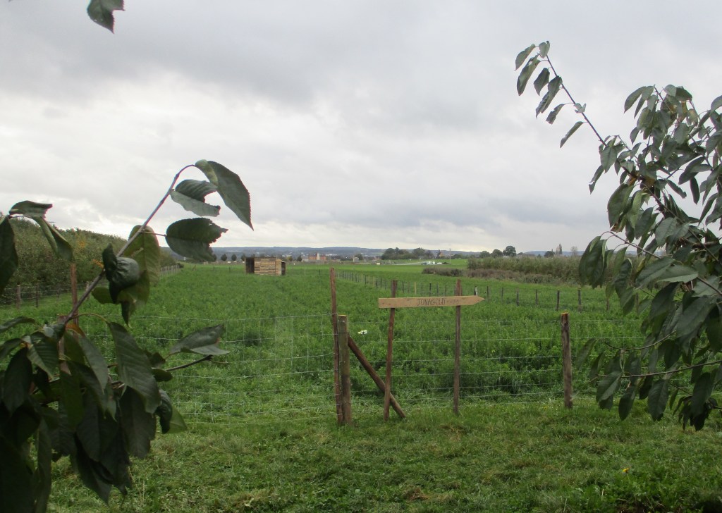 clôture les Jardins du Moulin à Vent