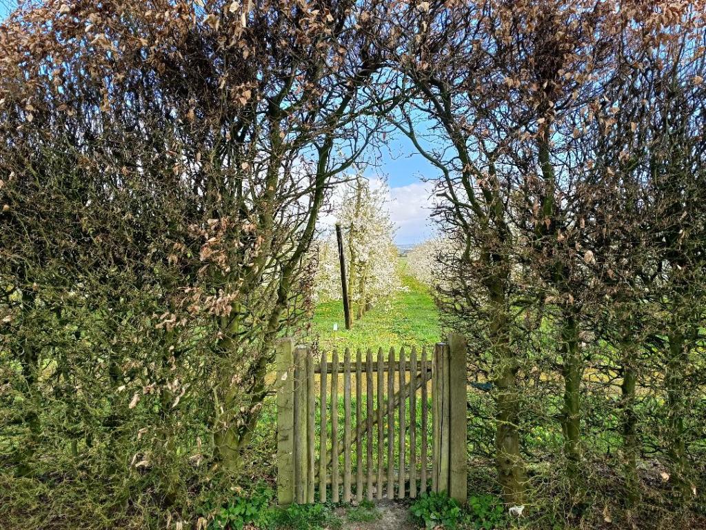 Bienvenue Jardins du Moulin à Vent