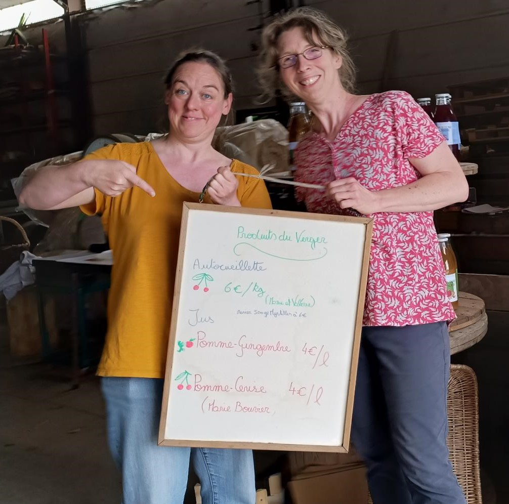 autocueillette cerises verger