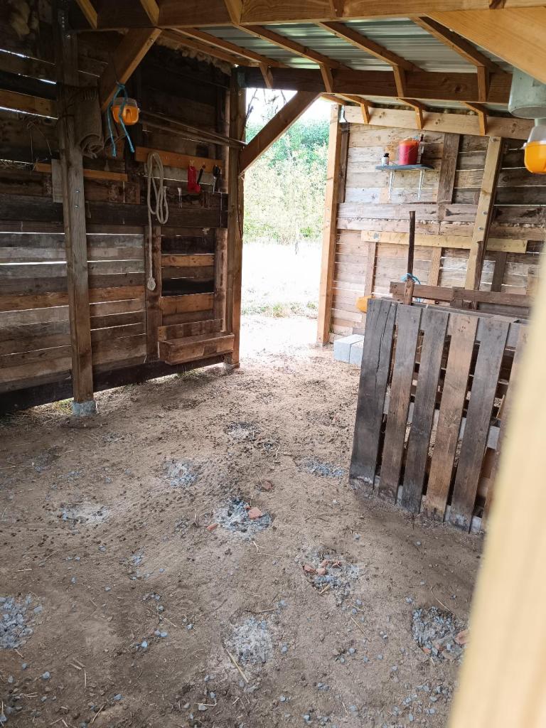 drainage abri moutons