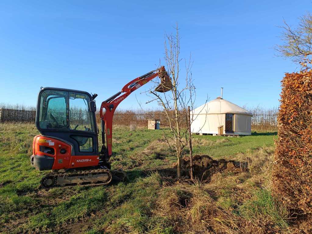 arbre plantation tractopelle