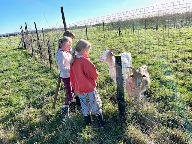 stage nature et sophrologie enfants