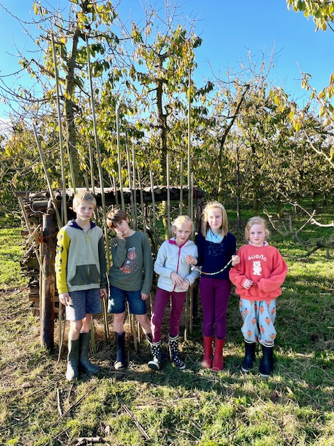 stage enfants et cabane
