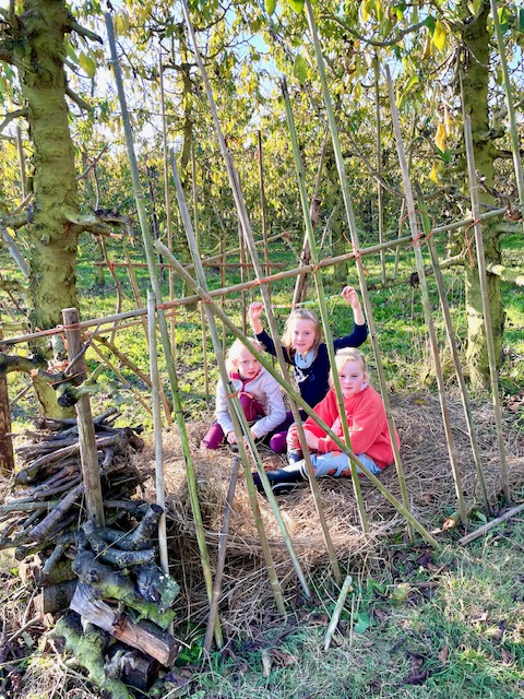 stage enfants et cabane