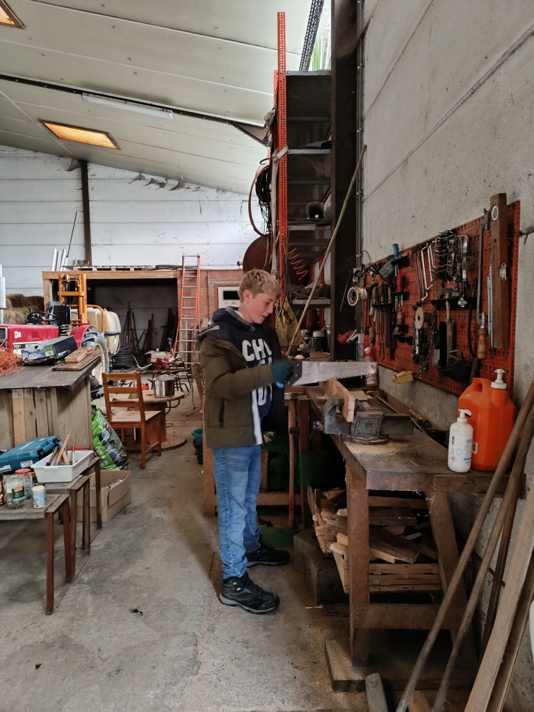 stage enfants nichoirs mésanges