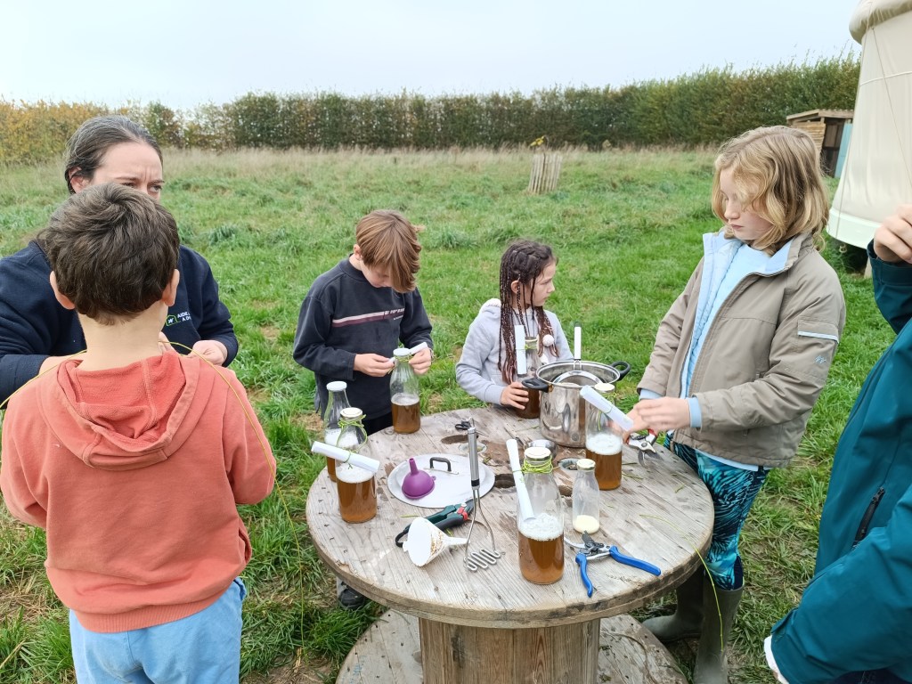 stage enfants lessive lierre