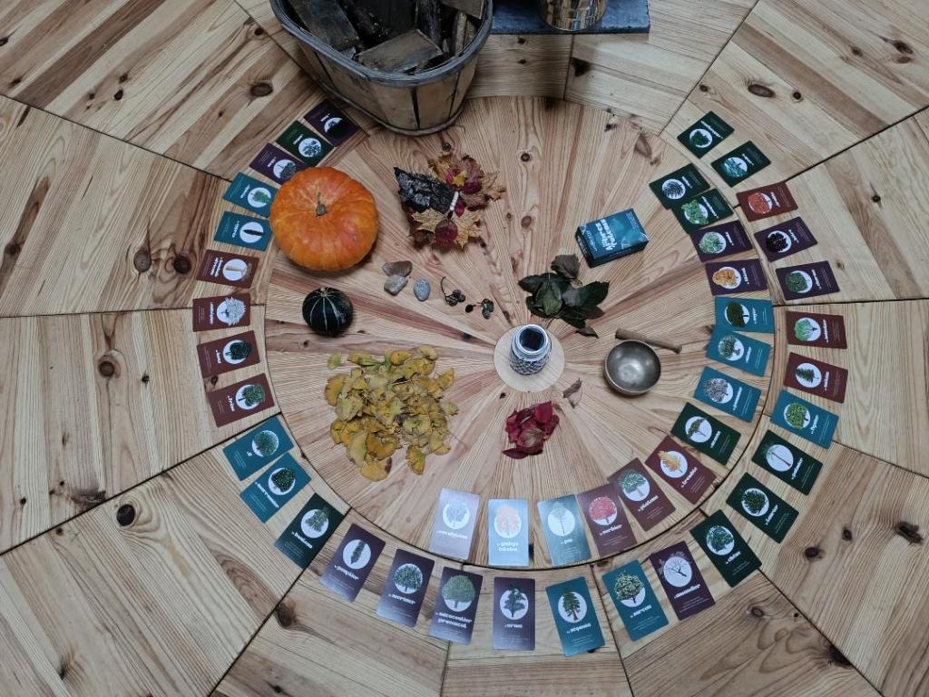 stage sophrologie enfants