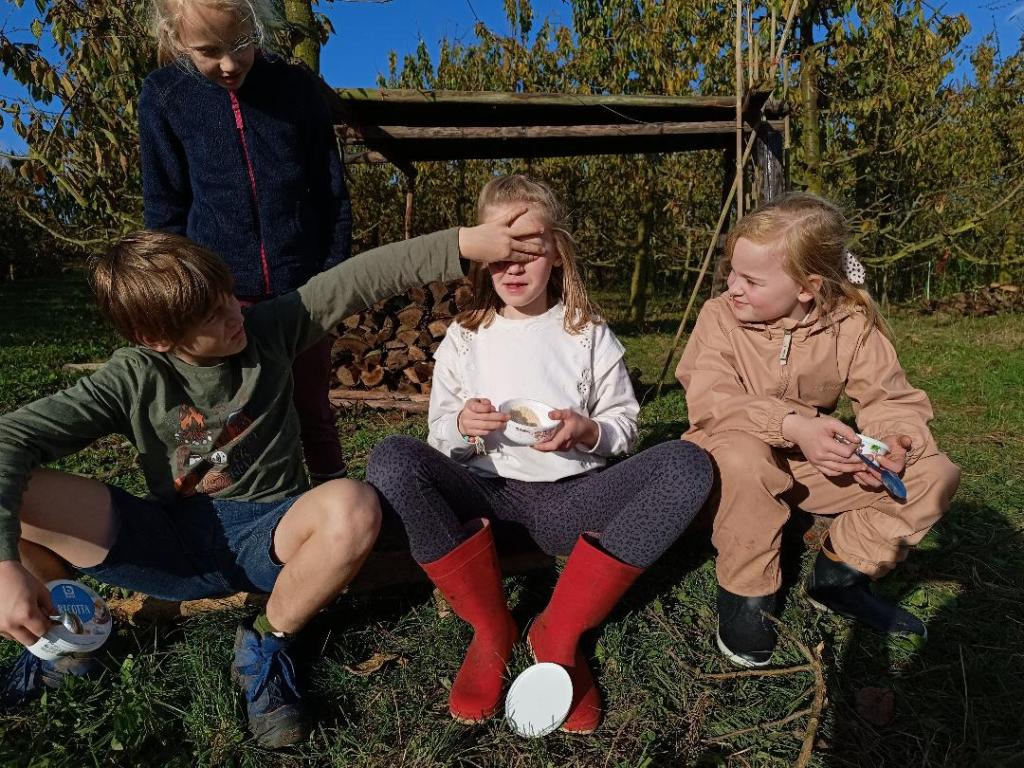 sophrologie nature et cinq sens