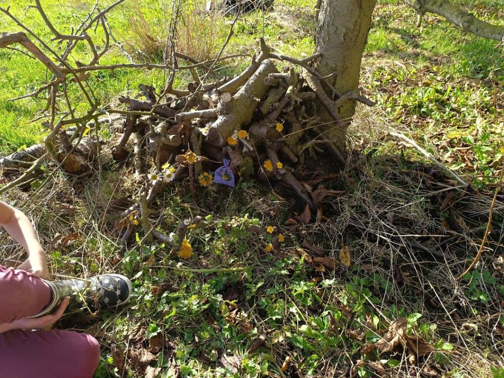 place médecine stage enfants