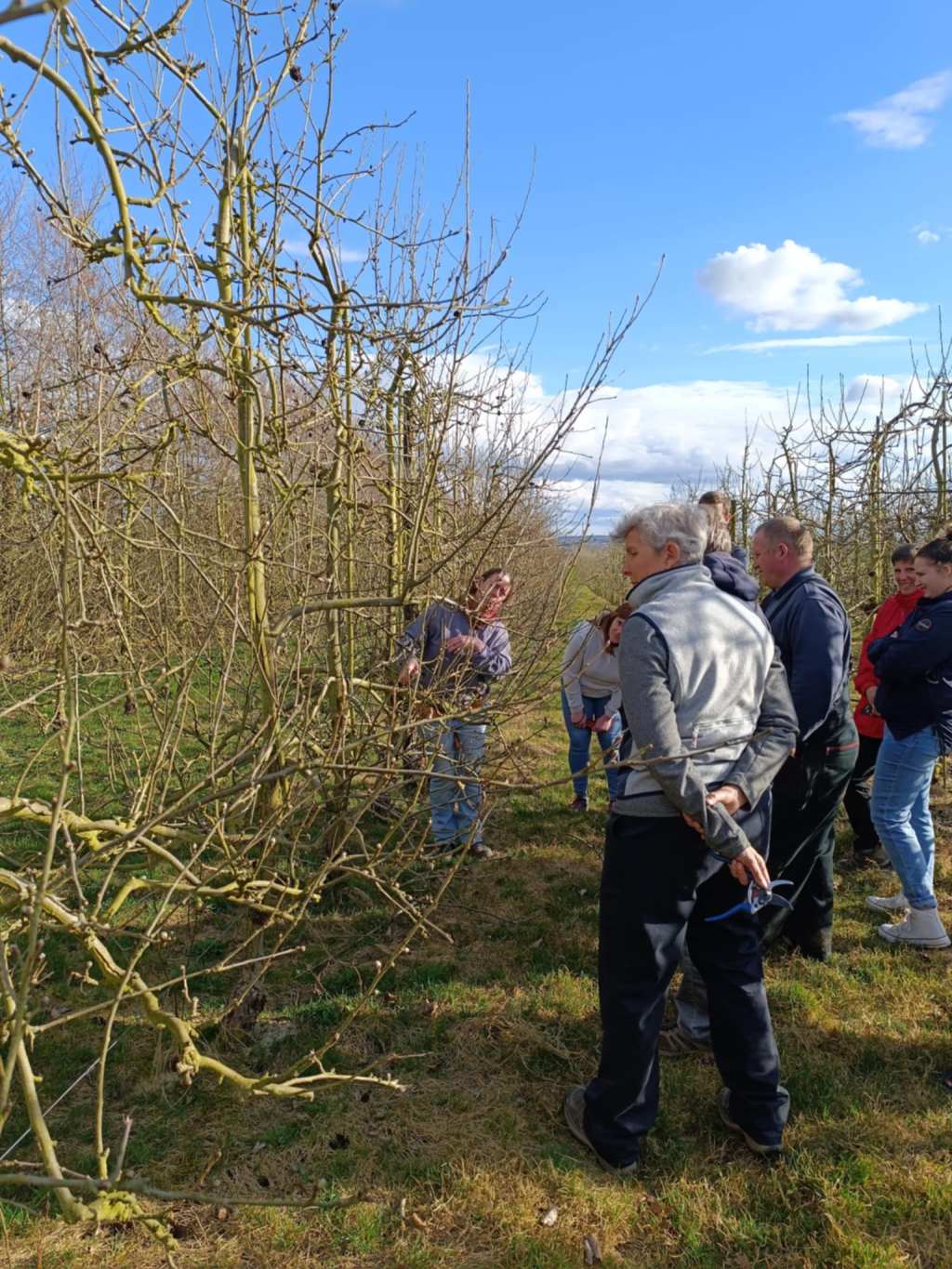 activité adulte autour de la taille des fruitiers aux Jardins du Moulin à Vent à Namur