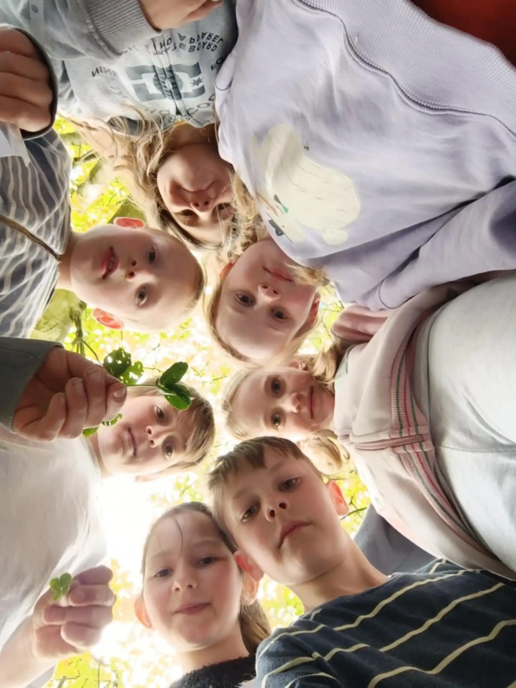 stages enfants Namur