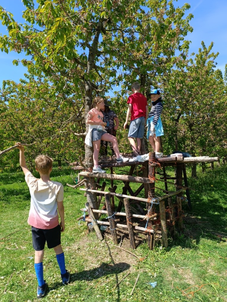 Stages enfants aux Jardins du Moulin à Vent et chez Catch your Life Sophrologie Namur.